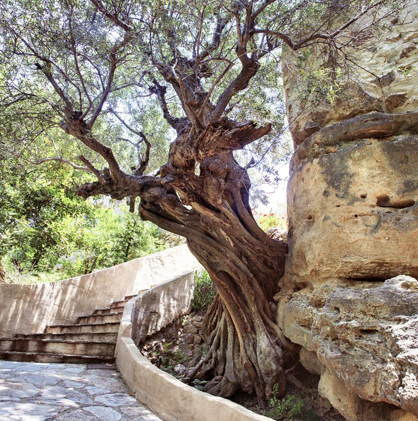 Local Hideaways Greece