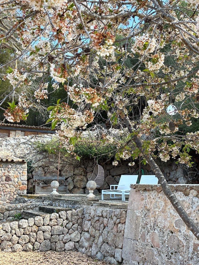 Local Hideaways Mallorca (1)